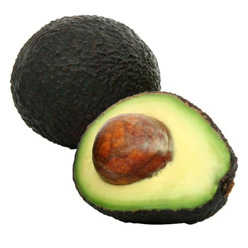 Home Salamanca Fresh Specials Recipes Our Suppliers About Us