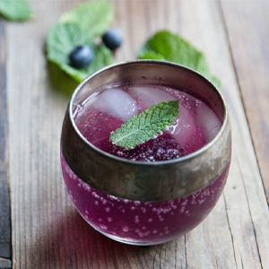 Blueberry Mint Gin Cocktail Recipe