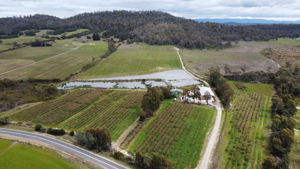 Mountainvale Farm, Tasmania